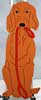 Red Setter, leash