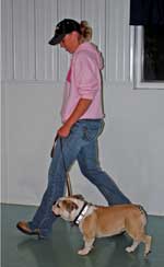 Photo of Dog Heeling