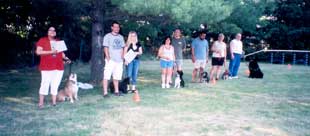 Photo of Group Obedience Class