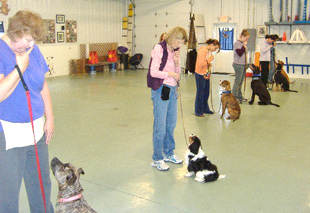Photo from Intermediate Obedience Class