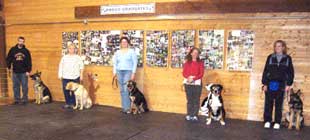 Photo of Graduates of Intermediate Obedience