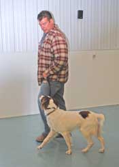 Photo of Dog Heeling