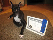 Photo of Canine Graduate with Certificate