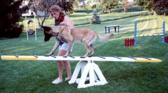 photo of teeter totter