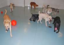 Photo of Day Care