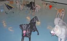 Photo of Day Care