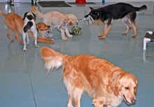 Photo of Day Care