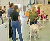 Photo from Grand Opening