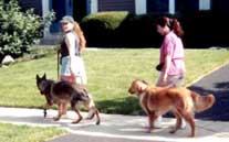 Photo of Advanced Heeling