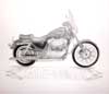 Sportster