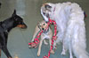 Photo from day care