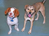 Photo from day care