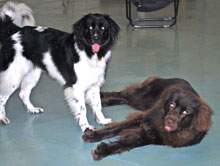 Photo of two friends at day care