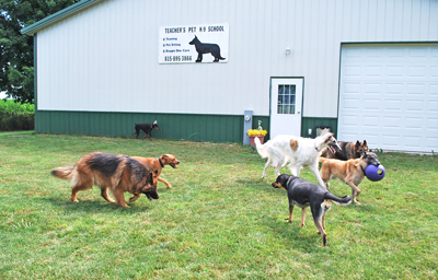 day care group