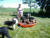 Photo of dogs in pool