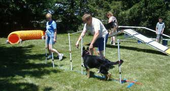 Photo of Basic Agility