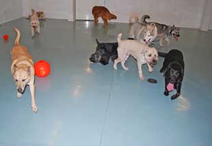 Photo of Day Care in New Facility