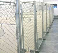Photo of new Dog Runs