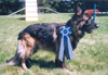 Thunder with ribbon