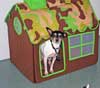 Small Dog at Day Care