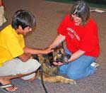 Therapy Dog Seminar
