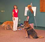 Therapy Dog Seminar