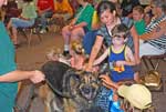 Therapy Dog Seminar
