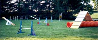 Photo of Agility Equipment